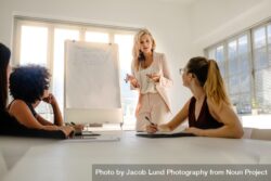 Group of businesswomen having meeting